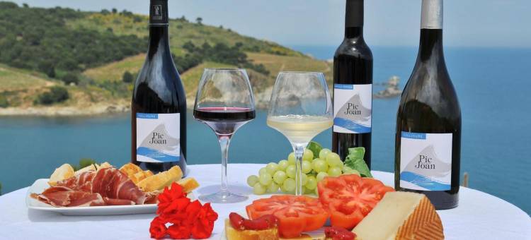 Logis Hotel Solhotel图片