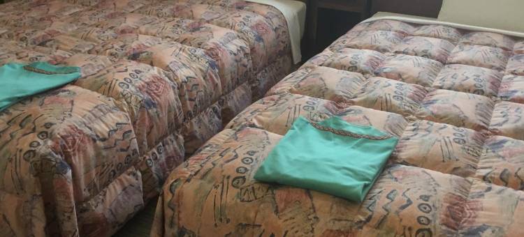 新居滨山酒店(Hotel Niihama Hills)图片