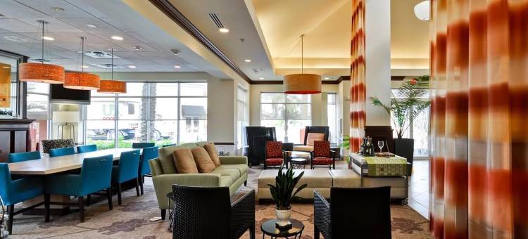 坦帕西北奥尔兹马希尔顿花园酒店(Hilton Garden Inn Tampa Northwest/Oldsmar)图片