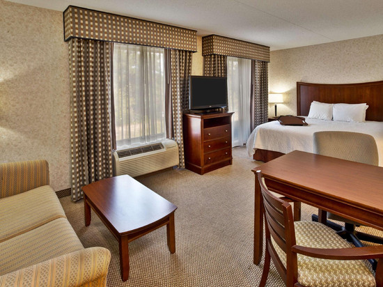 希尔顿欢朋套房酒店-里士满弗吉尼亚中心