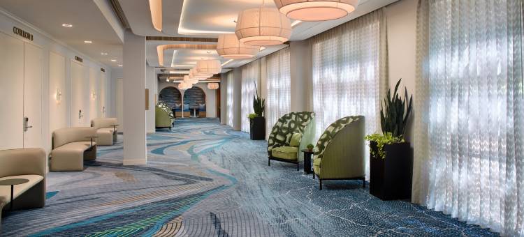 夏洛特南方公园万丽酒店(Renaissance Charlotte SouthPark Hotel)图片