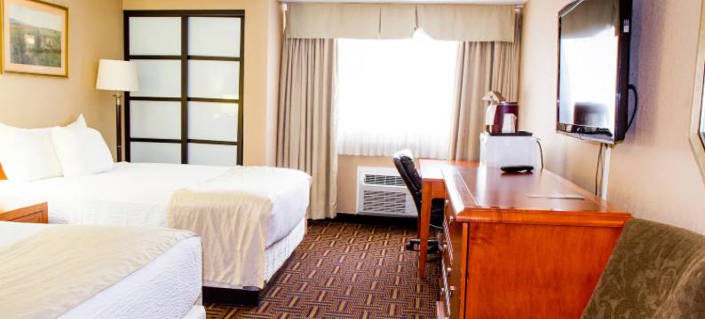 温德姆花园梅迪辛哈特会议中心(Wyndham Garden Medicine Hat Conference Center)图片