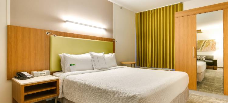 SpringHill Suites McAllen Convention Center图片