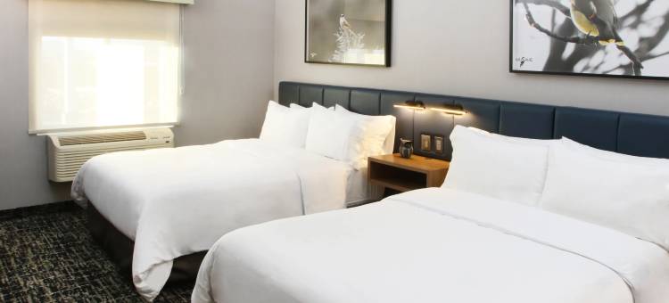 voco Saltillo Suites图片