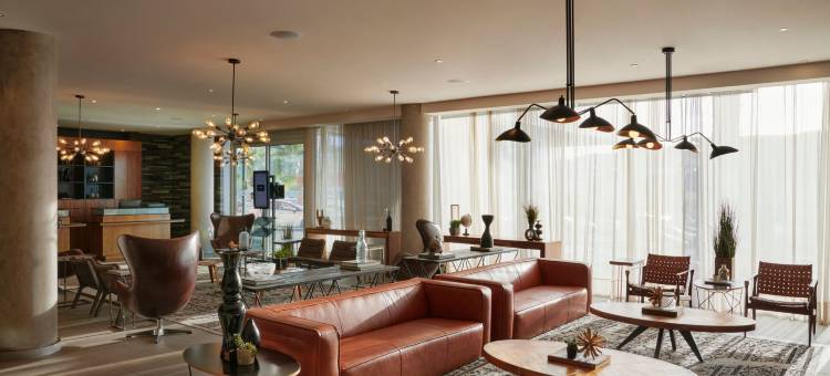 奇瓦瓦州 Distrito Uno 福朋喜来登酒店(Four Points by Sheraton Distrito Uno Chihuahua)图片