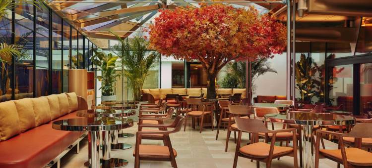 艾默里酒店，梅伯恩酒店系列(The Emory, Maybourne Hotel Collection)图片