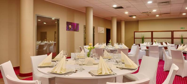 福克斯卡托维兹霍茹夫酒店(Focus Hotel Katowice Chorzów)图片