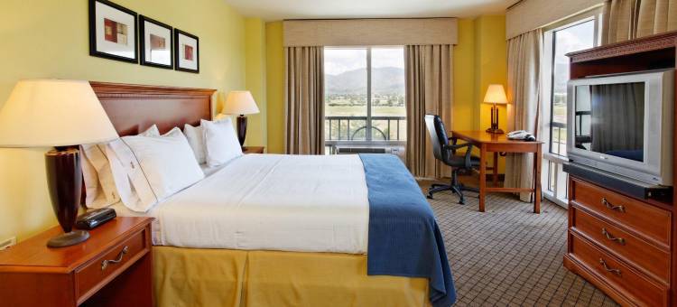 Holiday Inn Express & Suites TRINCITY特立尼达机场(Holiday Inn Express & Suites Trincity Trinidad Airport)图片