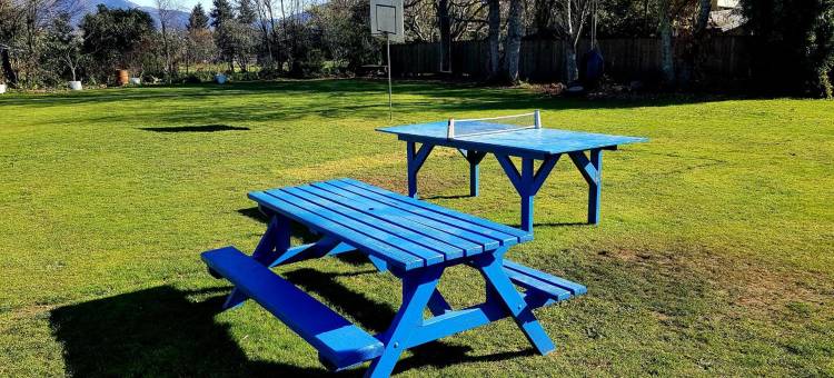 乐苹背包客酒店(Happy Apple Backpackers)图片