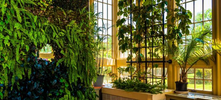 巴尔的摩哈勃尔普勒斯万丽酒店(Renaissance Baltimore Harborplace Hotel)图片