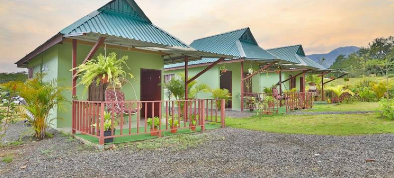 Chongos的地方(Chongos Place)图片