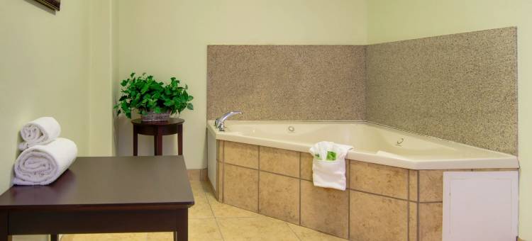 智选假日套房酒店堪萨斯城体育综合区(Holiday Inn Express & Suites Kansas City Sport Complex Area)图片