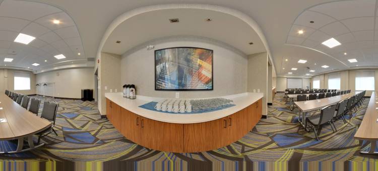 智选假日套房酒店-埃德蒙顿西购物区(Holiday Inn Express & Suites West Edmonton-Mall Area)图片