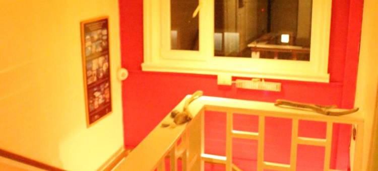 指南针戴尔苏尔旅舍(Hostal Compass del Sur)图片