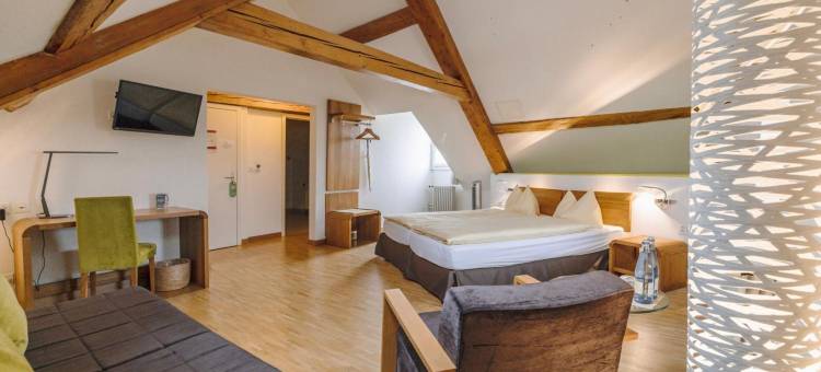 欧迪亚精品酒店(Odelya - Stadthotel im Park)图片