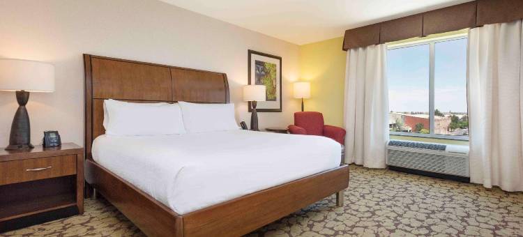 希尔顿花园酒店盐湖城机场(Hilton Garden Inn Salt Lake City)图片