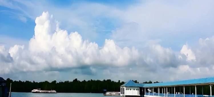 吉胆岛海狮酒店(Sea Lion Hotel @ Pulau Ketam)图片