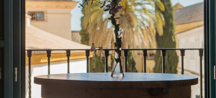 Hospes Las Casas del Rey de Baeza, 设计酒店成员(Hospes Las Casas del Rey de Baeza, a Member of Design Hotels)图片