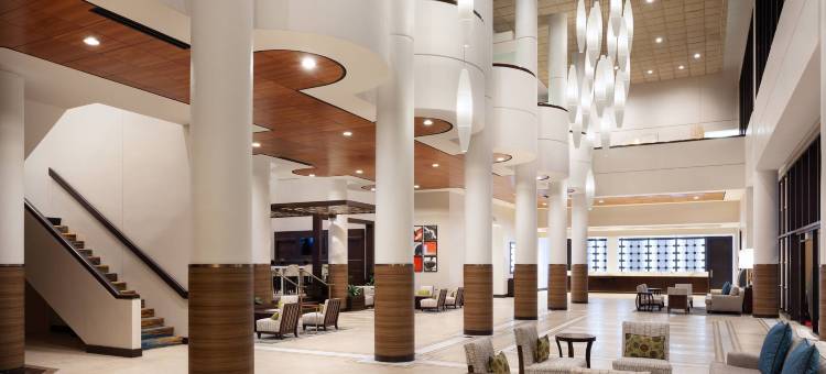 奥兰多机场湖畔万豪酒店(Marriott Orlando Airport Lakeside)图片