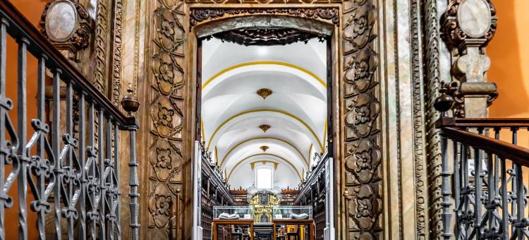 普埃布拉市中心皇家voco酒店(voco Royalty Puebla Downtown)图片