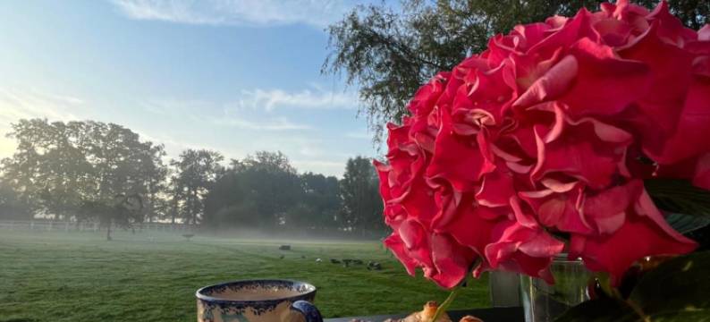 Le Manoir de la Campagne图片