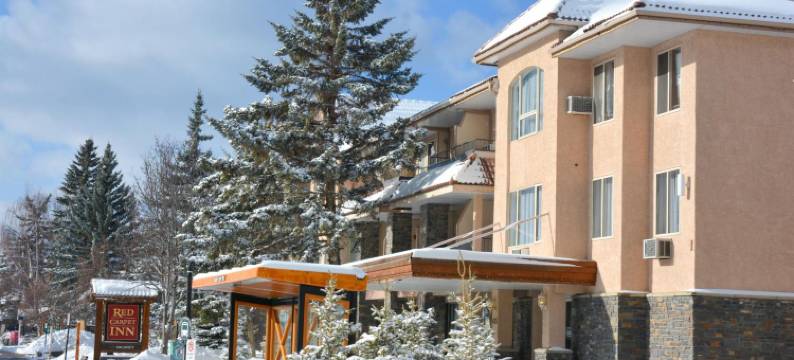 红毯套房旅馆(Red Carpet Inn)图片