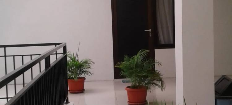 德帕拉贡特利哥拉旅舍(D'Paragon Trikora)图片