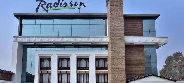 斯里纳格丽筠酒店(Radisson Srinagar)图片