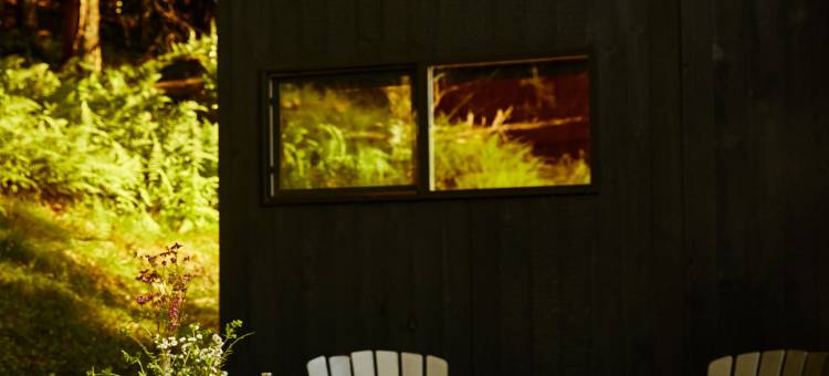 大熊湖明信片木屋(Postcard Cabins Big Bear)图片