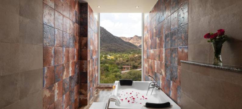 贾斯塔萨简加赫水疗度假村(JüSTa Sajjangarh Resort & Spa, Udaipur)图片