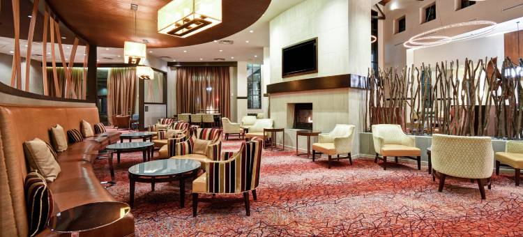 弗吉尼亚州斯普林菲尔德希尔顿安泊酒店(Embassy Suites by Hilton Springfield)图片