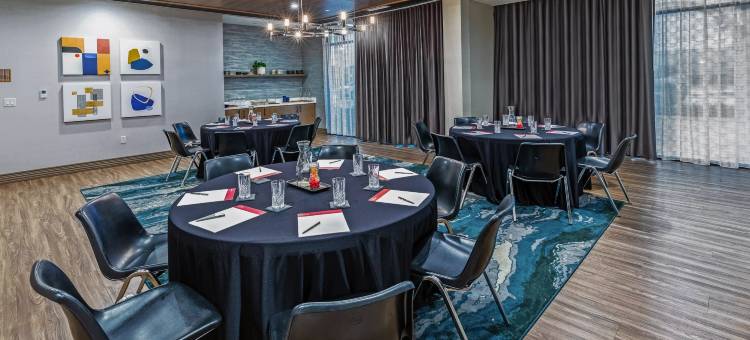 北休斯顿-斯普林英迪格酒店(Hotel Indigo Spring – Woodlands Area)图片