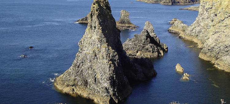 瓦纳宜必思快捷酒店(Ibis Budget Vannes)图片