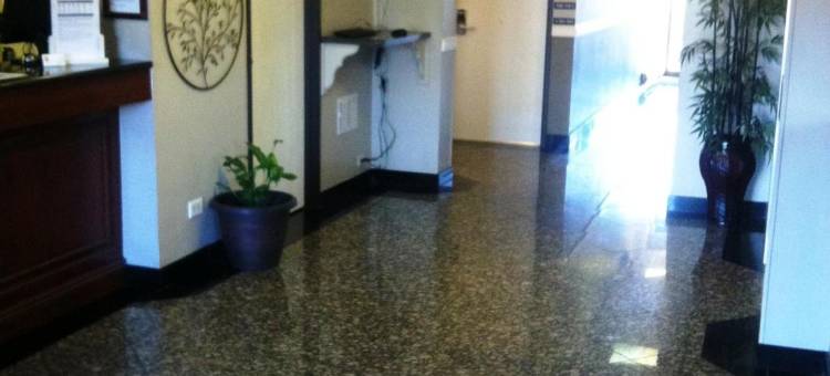 布里奇维尤-芝加哥地区速8酒店(Super 8 by Wyndham Bridgeview/Chicago Area)图片