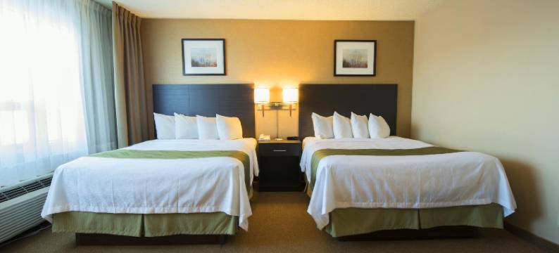 品质酒店及套房-皮埃尔·埃利奥特·特鲁多机场(Quality Inn & Suites PE Trudeau Airport)图片