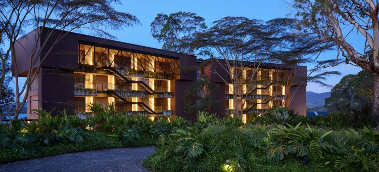 The Brown, Guatape, Autograph Collection图片