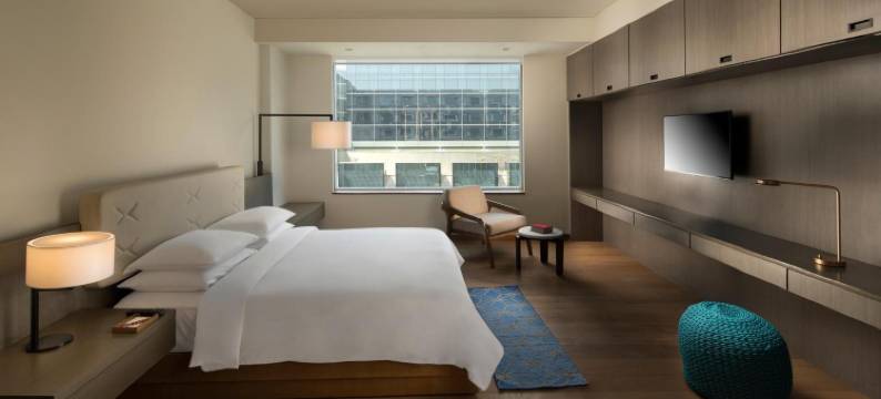 德里Hyatt公寓(Hyatt Delhi Residences)图片