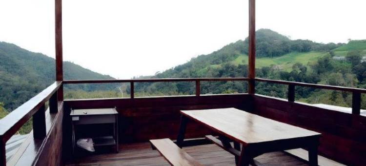 昆达山尼克高德花园度假村(Nikgold Garden Resort Kundasang)图片