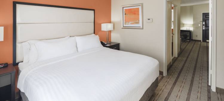 亚特兰大东北德卢斯智选假日套房酒店(Holiday Inn Express & Suites Atlanta NE - Duluth)图片