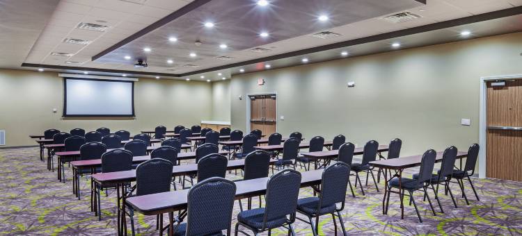 阿马里洛东假日酒店(Holiday Inn Amarillo East)图片