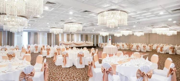 芝加哥西北绍姆堡温德姆花园酒店(Wyndham Garden Schaumburg Chicago Northwest)图片