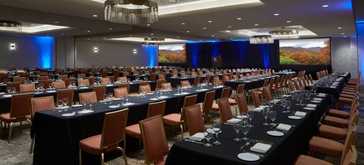 阿什维尔市中心万丽酒店(Renaissance Asheville Downtown Hotel)图片