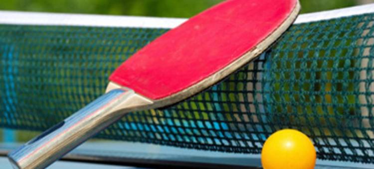 棉兰瓜拉纳穆机场热闹酒店(The Lively Hotel Kualanamu)图片