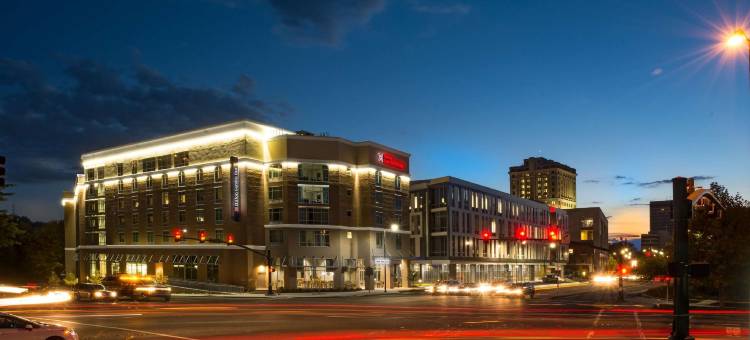 阿什维尔市区希尔顿花园酒店(Hilton Garden Inn Asheville Downtown)图片