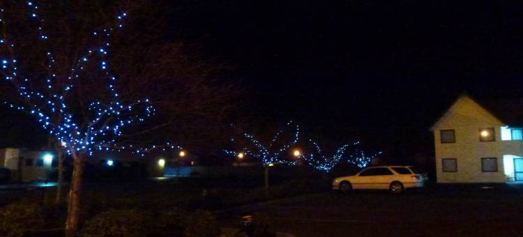 莫斯吉尔贝拉维斯塔汽车旅馆(Bella Vista Motel Mosgiel)图片