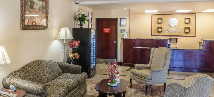 里诺机场舒适套房酒店(Comfort Inn & Suites Airport Convention Center)图片