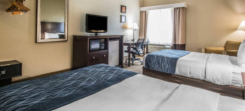 舒适套房酒店-近迪兰大学(Comfort Inn & Suites DeLand - Near University)图片