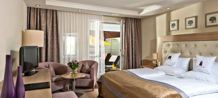 MAXIMILIAN 大酒店(Hotel Maximilian)图片