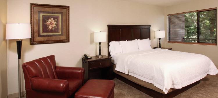 丽晶三城欢朋酒店(Hampton Inn Richland/Tri-Cities)图片