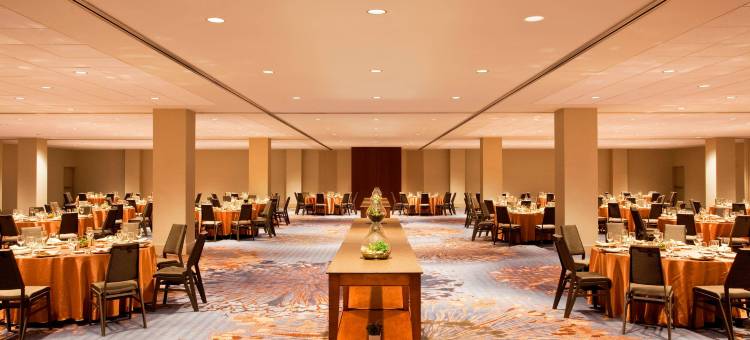 亚特兰大桃树广场威斯汀酒店(The Westin Peachtree Plaza, Atlanta)图片